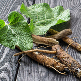 Burdock Root ORG