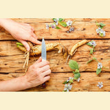 Marshmallow Root ORG