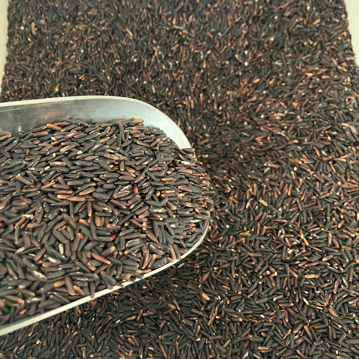 Black Rice ORGANIC