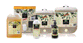 Castile Hand and Body Wash - Unscented