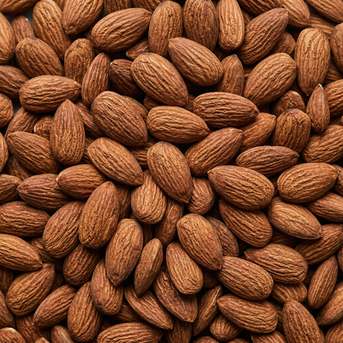 Close-up of whole activated almonds filling the square frame