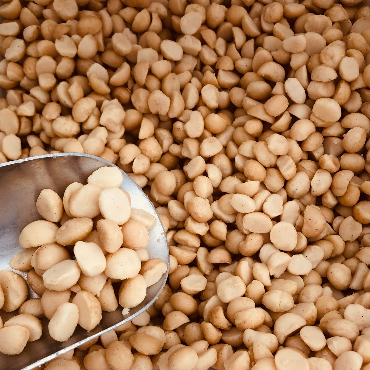 Macadamia AUS