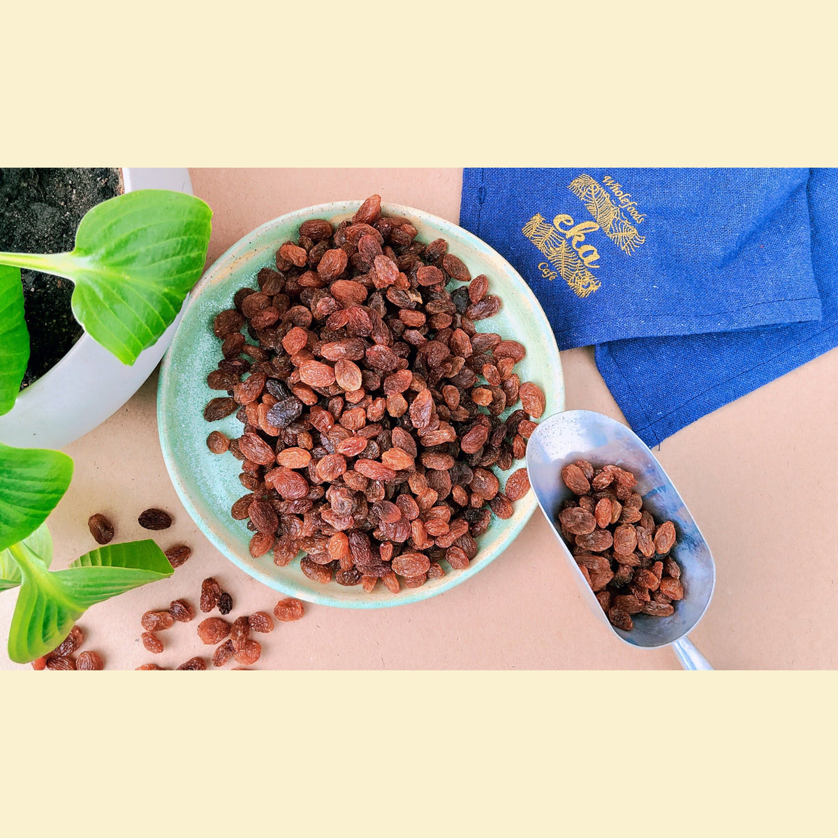 Sultanas ORGANIC