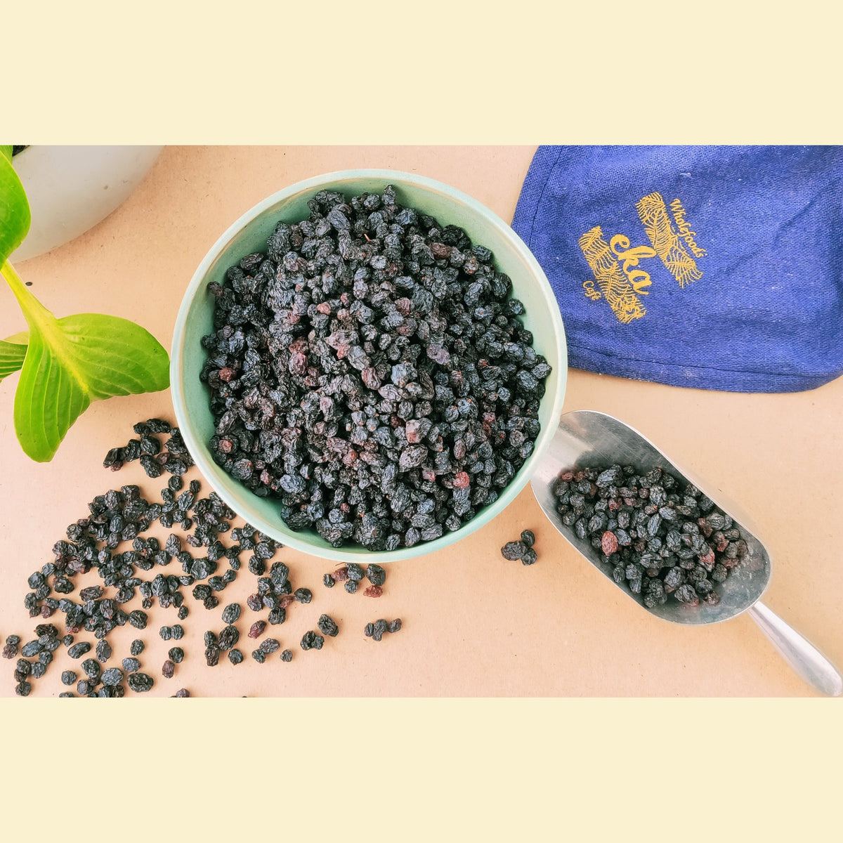Black Currants - ORGANIC