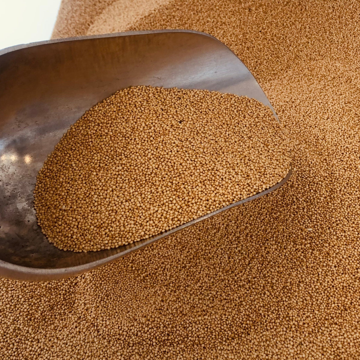 Amaranth Grain ORGANIC