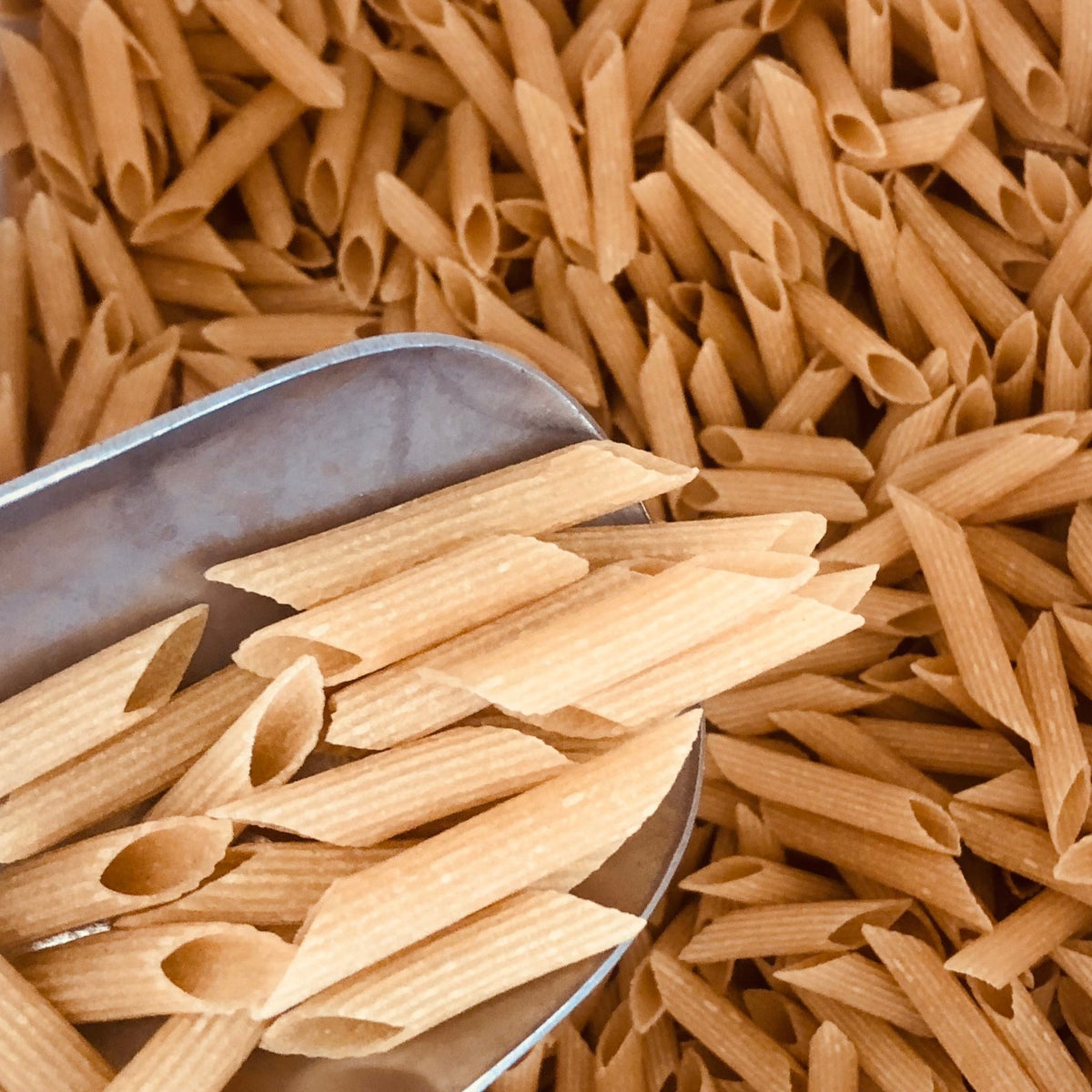 3 Grain Penne Pasta (Gluten Free) (Brown Rice, Quinoa, Amaranth Only) ORGANIC