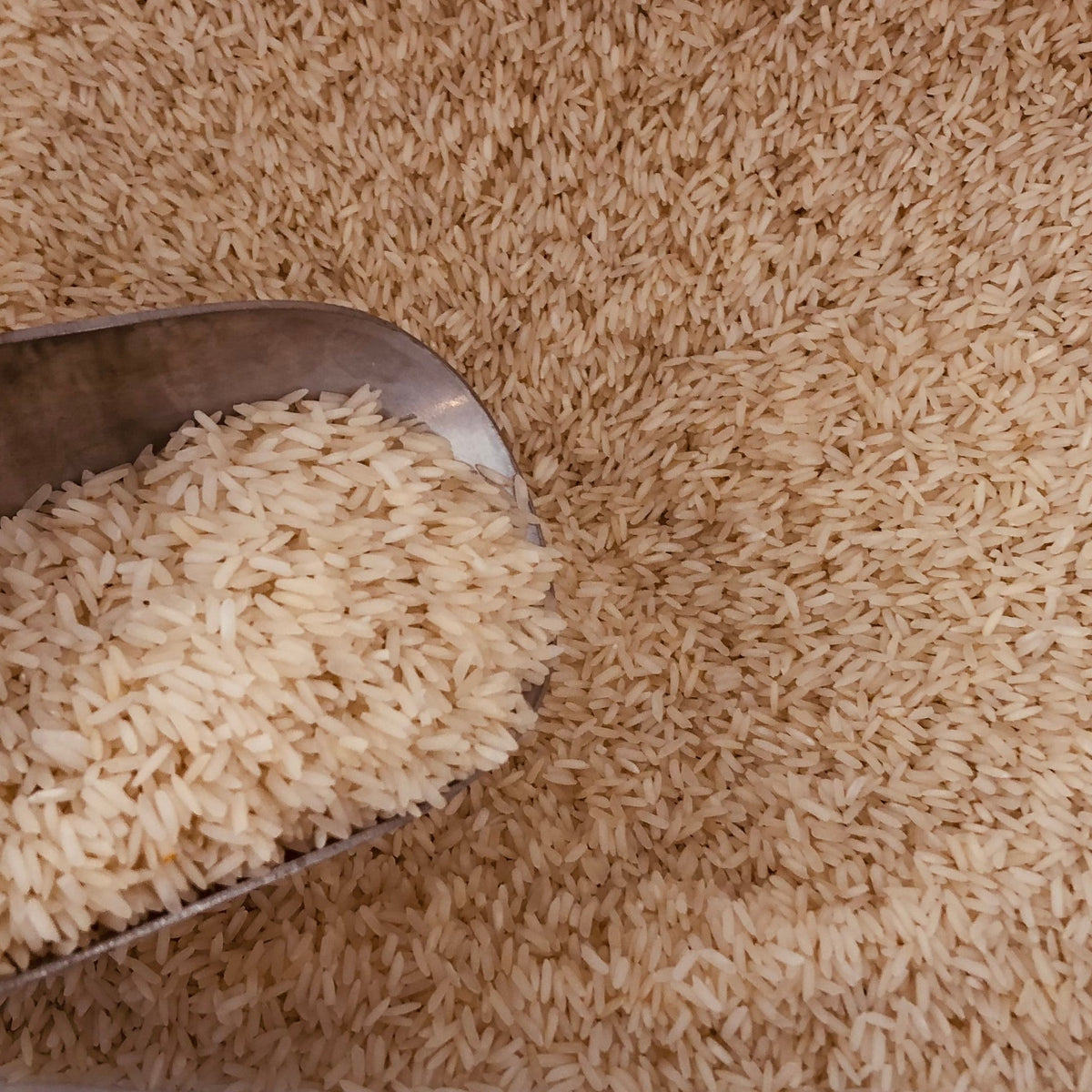 jasmine rice