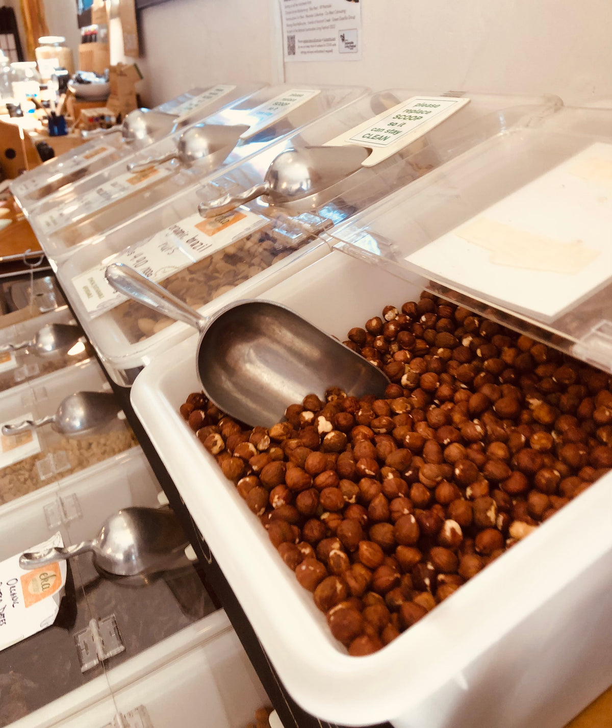 Hazelnuts ORGANIC