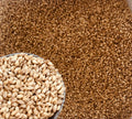 Pearl Barley ORGANIC