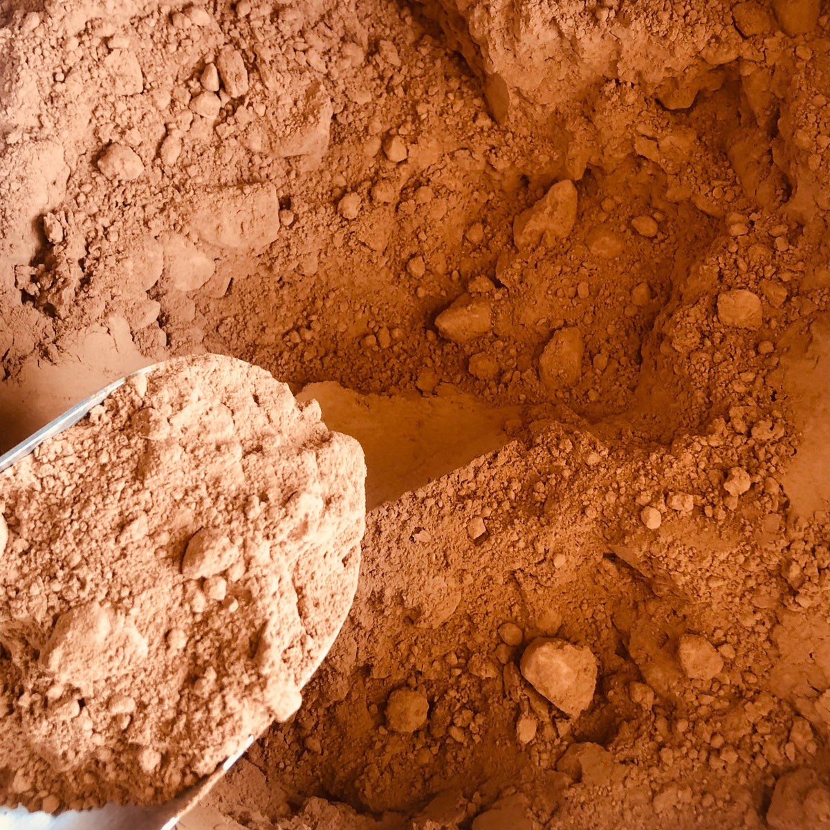cacao powder