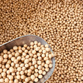 soybeans org