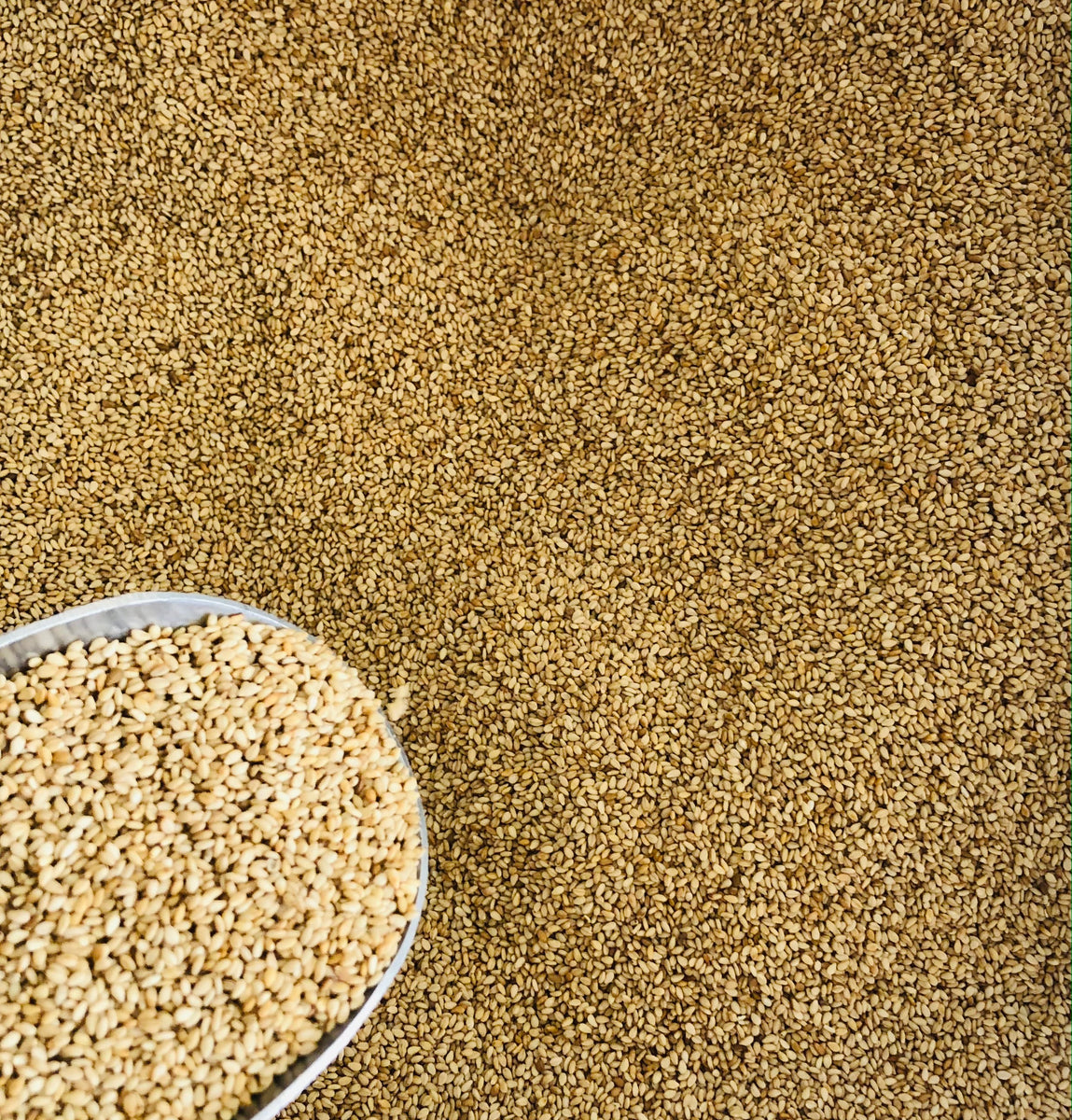 Sesame seeds Unhulled ORGANIC Eka Bulk Organic Wholefoods & Liquid Deli