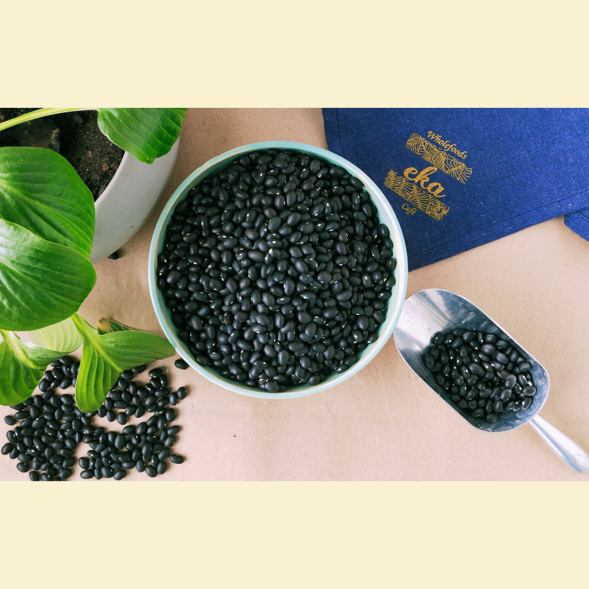 Black Beans ORGANIC