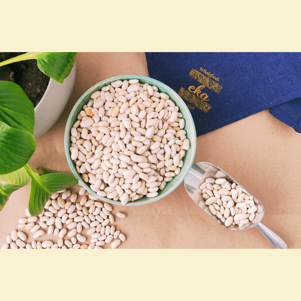 Cannellini Beans NON GMO