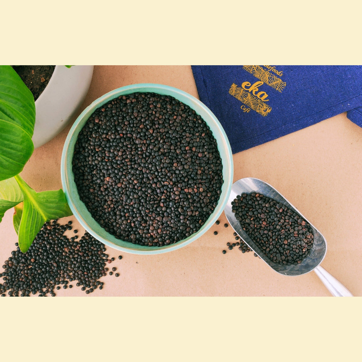 Black (beluga) Lentils ORGANIC