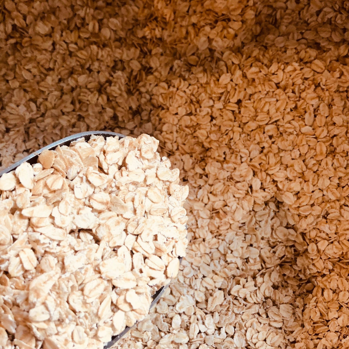 rolled oats