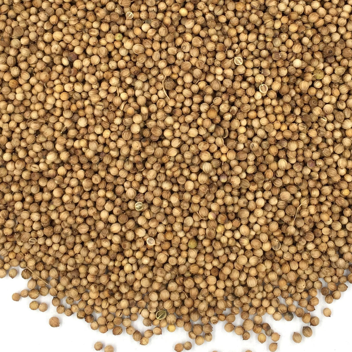 coriander seeds